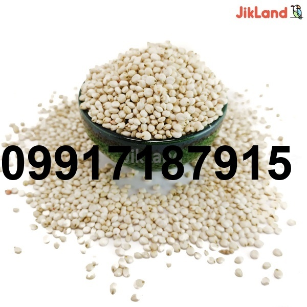 قیمت دانه سورگوم_2