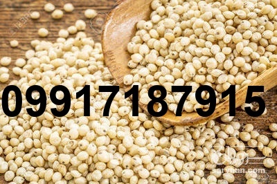 قیمت دانه سورگوم_6
