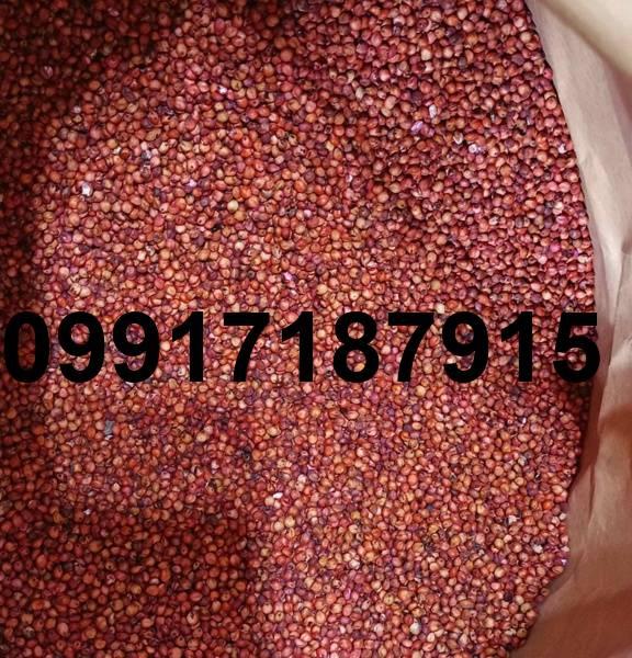 قیمت دانه سورگوم_7