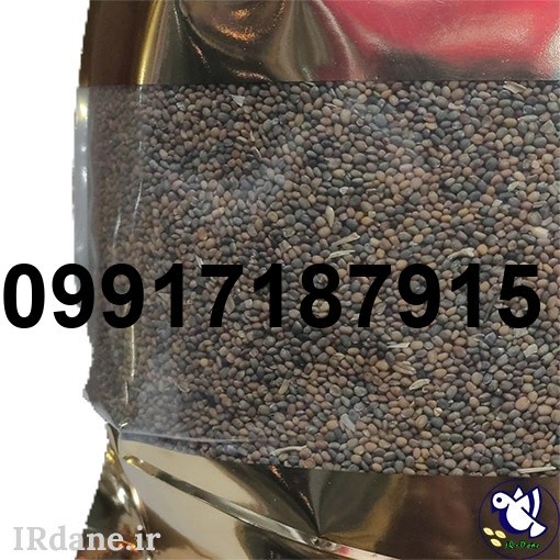 قیمت دانه منداب_10