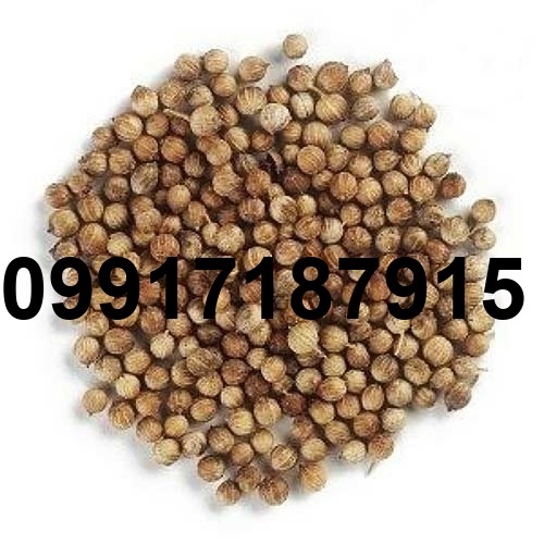 قیمت دانه منداب_6