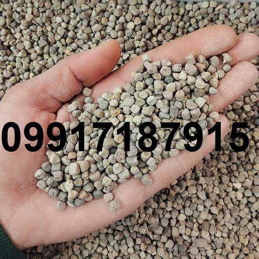 قیمت دانه هلر_1