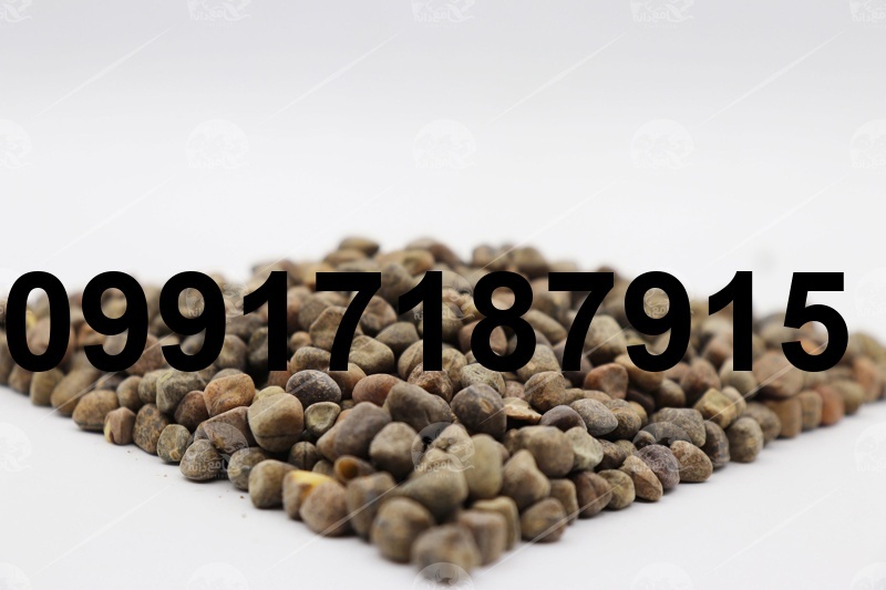 قیمت دانه هلر_7