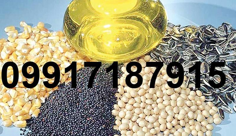قیمت دانه کلزا_8