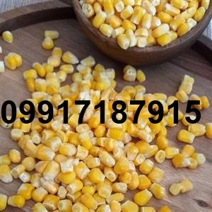 قیمت ذرت امروز_6