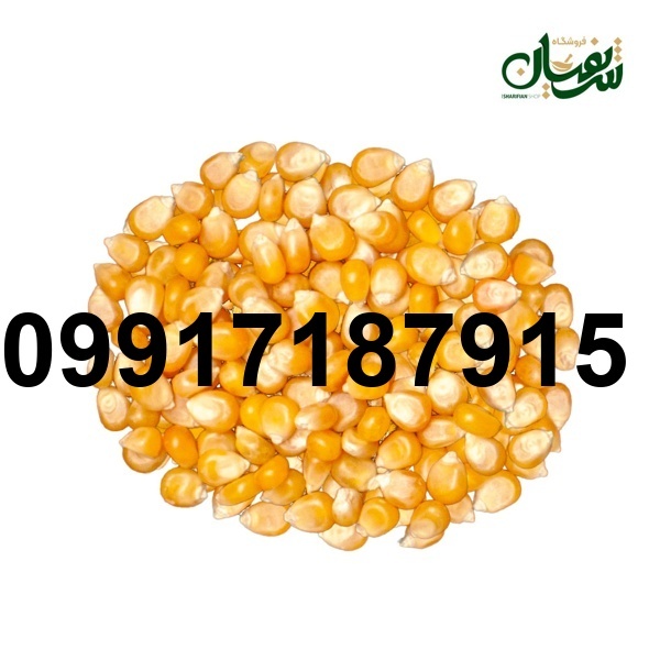 قیمت ذرت امروز_8
