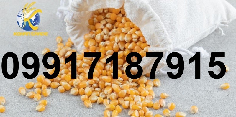 قیمت ذرت برزیل_8