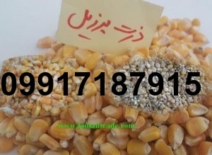 قیمت ذرت برزیلی در بندر امام_8