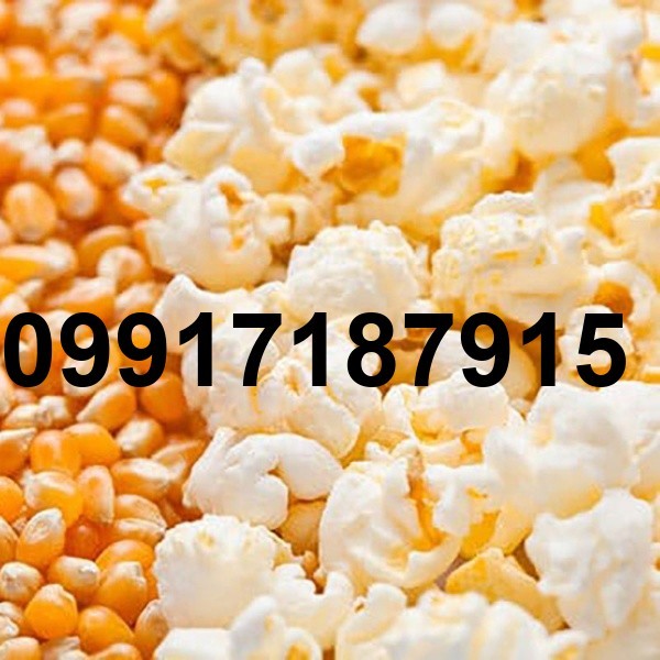 قیمت ذرت سفید_4