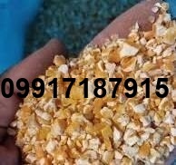 قیمت ذرت شکسته_3