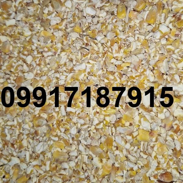 قیمت ذرت شکسته_7