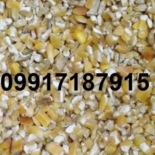 قیمت ذرت شکسته برزیلی_2