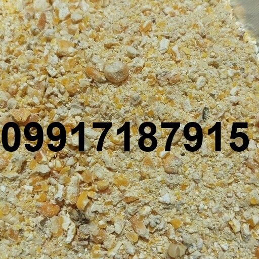 قیمت ذرت طیور_2