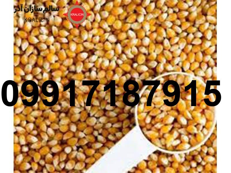 قیمت ذرت طیور_6