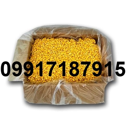 قیمت ذرت عمده_6