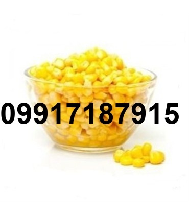 قیمت ذرت فله_7