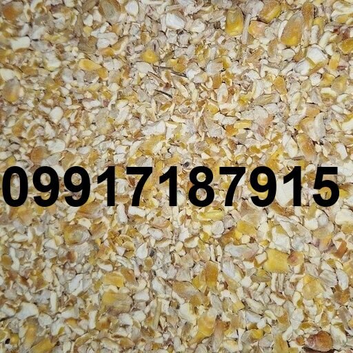 قیمت ذرت مرغ گوشتی_4