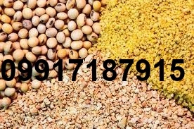 قیمت ذرت و سویا برای مرغداری_1