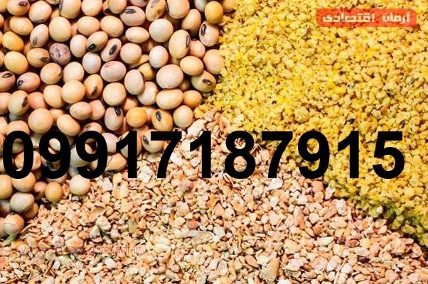 قیمت ذرت و سویا برای مرغداری_10