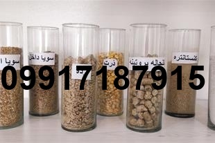 قیمت ذرت و سویا برای مرغداری_3