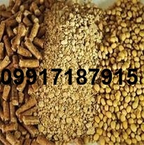 قیمت ذرت و سویا برای مرغداری_5