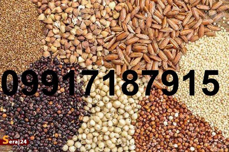قیمت ذرت و سویا در بازارگاه_1