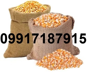 قیمت ذرت و سویا در بازارگاه_4
