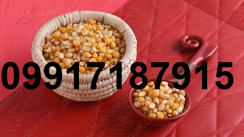 قیمت ذرت وارداتی امروز_10