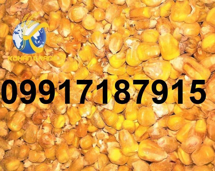 قیمت ذرت وارداتی روسیه_4