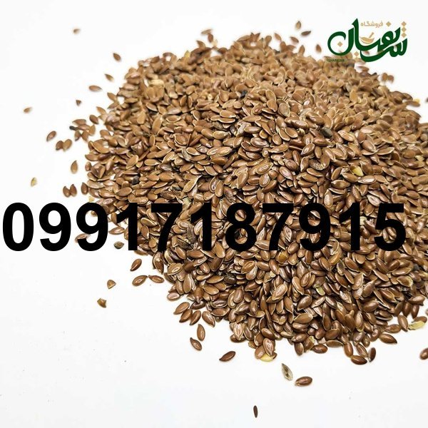 قیمت روز تخم کتان_1