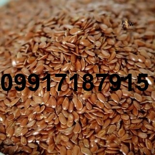 قیمت روز تخم کتان_10