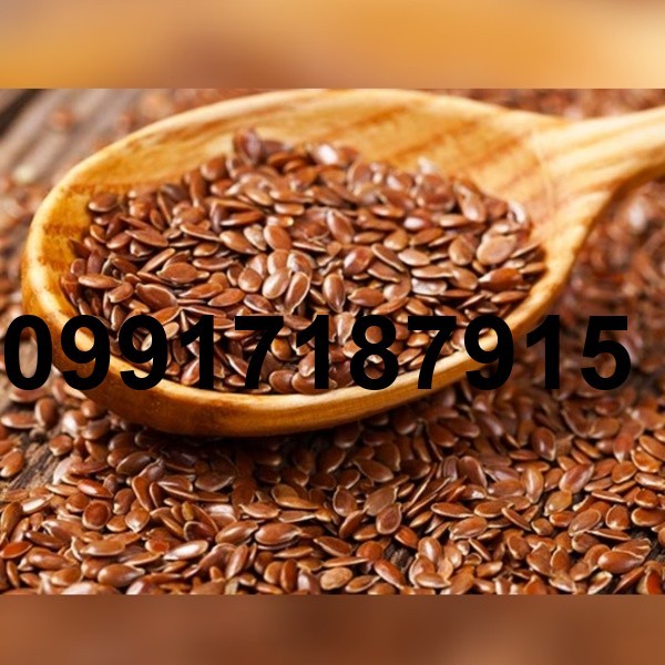 قیمت روز تخم کتان_7