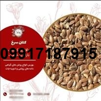 قیمت روز تخم کتان_9