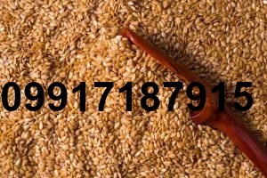 قیمت روز جو همدان_5