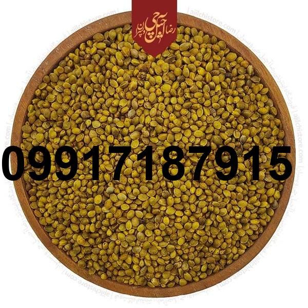 قیمت روز شاهدانه_1