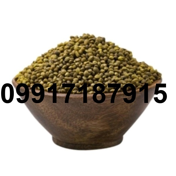 قیمت شاهدانه در بازار_9