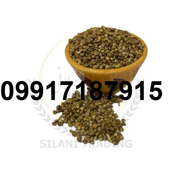 قیمت شاهدانه عمده_10