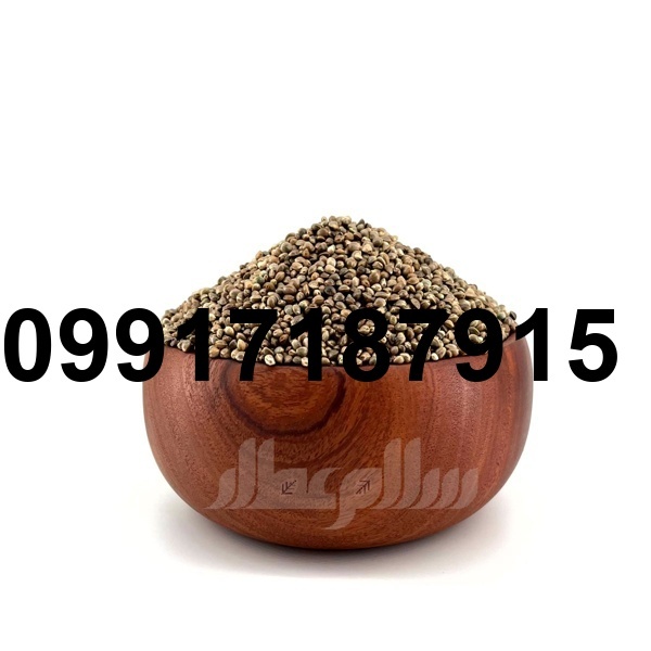 قیمت شاهدانه پرنده_4