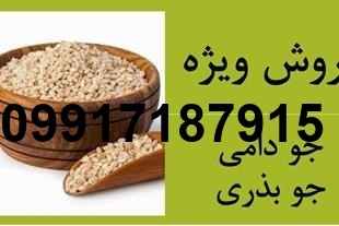 قیمت فروش جو دامی امروز_4