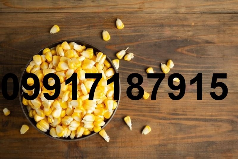 قیمت فروش ذرت_8