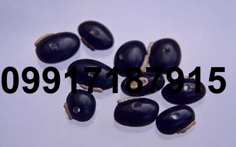 قیمت قره ماش سیاه_2