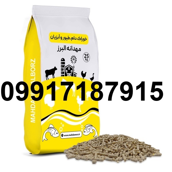 قیمت میان دان مرغ_5