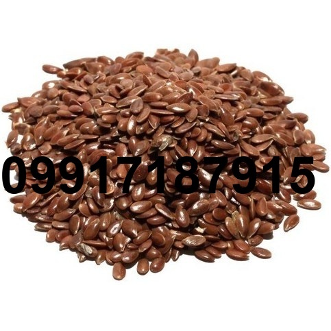 قیمت هر کیلو تخم کتان_8