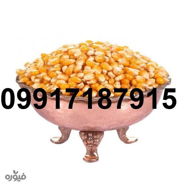 قیمت هر کیلو ذرت_3