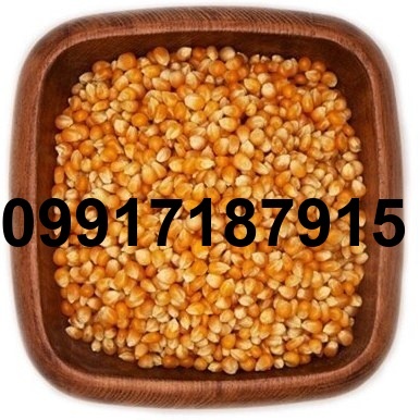 قیمت هر کیلو ذرت_8