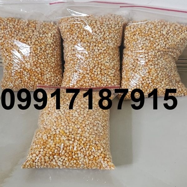 قیمت هر کیلو ذرت پفیلا_4