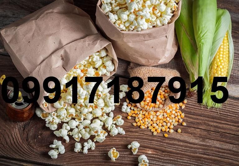 قیمت هر کیلو ذرت پفیلا_8