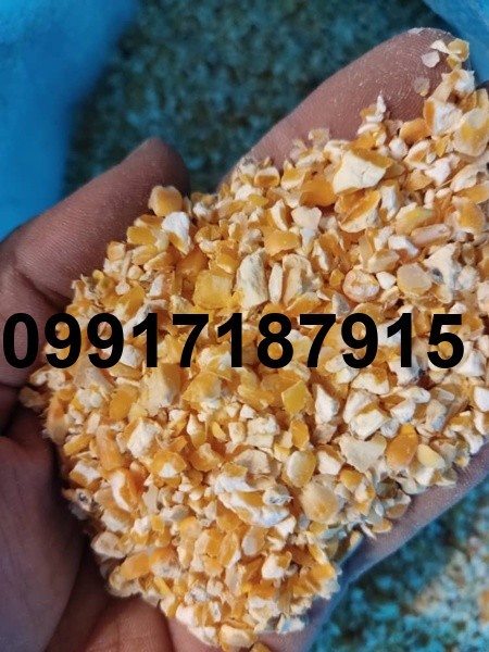 قیمت هر کیلو ذرت پفیلا_9