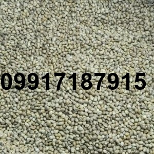 قیمت هر کیلو شاهدانه_3