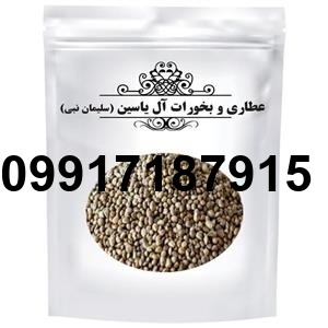 قیمت هر کیلو شاهدانه_5